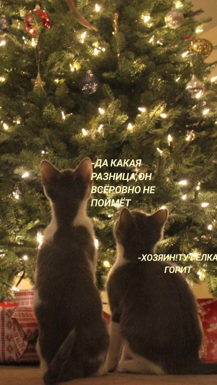 ДА КАКАЯ РАЗНИЦА, ОН ВСЁ РОВНО НЕ ПОЙМЁТ
-ХОЗЯИН! ТЁЛКА ГОРИТ