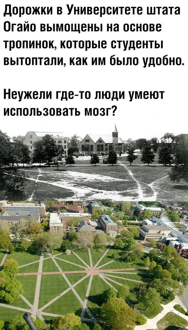 Дорожки в Университете штата Огайо вымощены на основе тропинок, которые студенты вытоптали, как им было удобно.
Неужели где-то люди умеют использовать мозг?