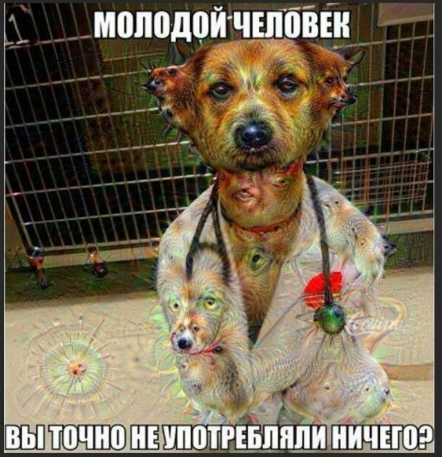 МОЛОДОЙ ЧЕЛОВЕК ВЫ ТОЧНО НЕ УПОТРЕБЛЯЛИ НИЧЕГО?