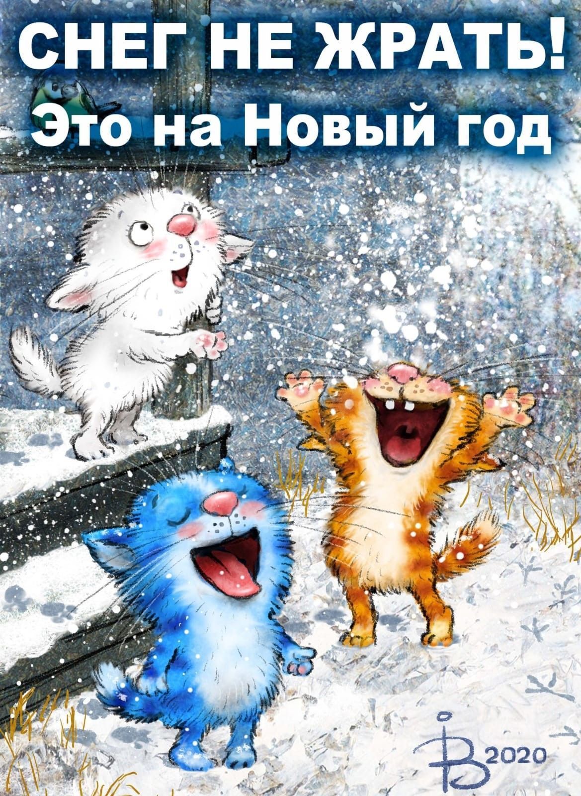 СНЕГ НЕ ЖРАТЬ! Это на Новый год