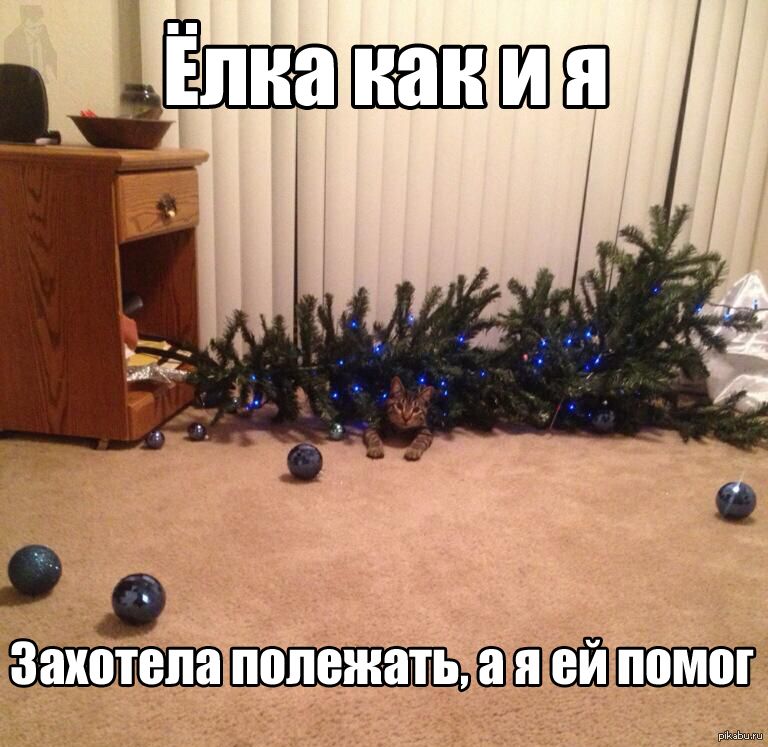 Ёлка как и я
Захотела полежать, а я ей помог