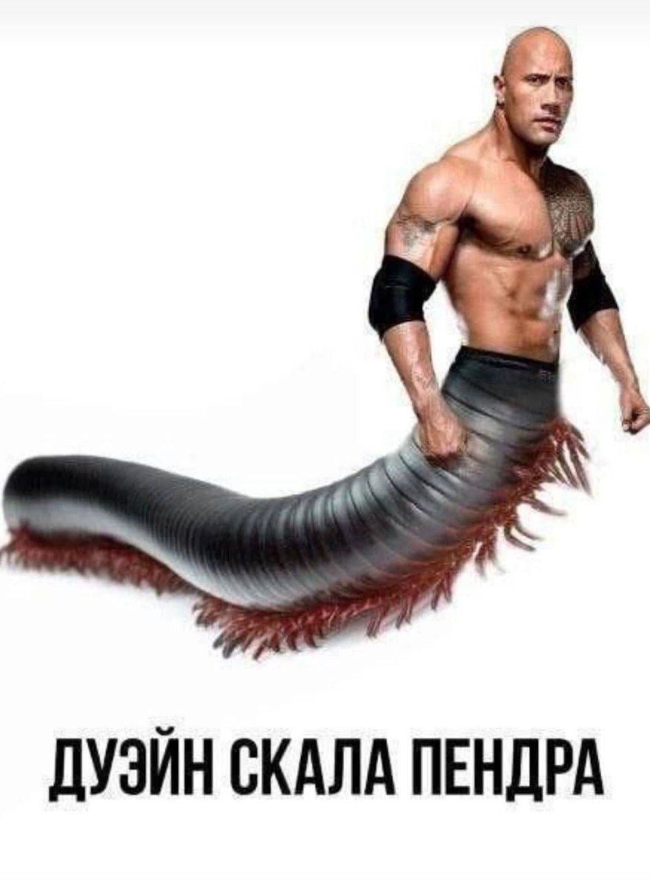 ДУЭЙН СКАЛА ПЕНДРА