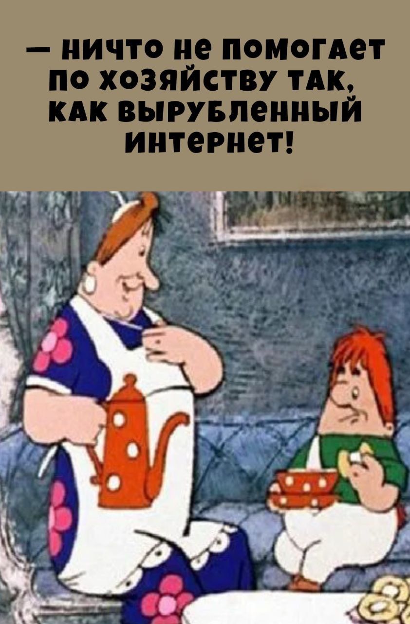 — НИЧТО НЕ ПОМОГАЕТ ПО ХОЗЯЙСТВУ ТАК, КАК ВЫРУБЛЕННЫЙ ИНТЕРНЕТ!