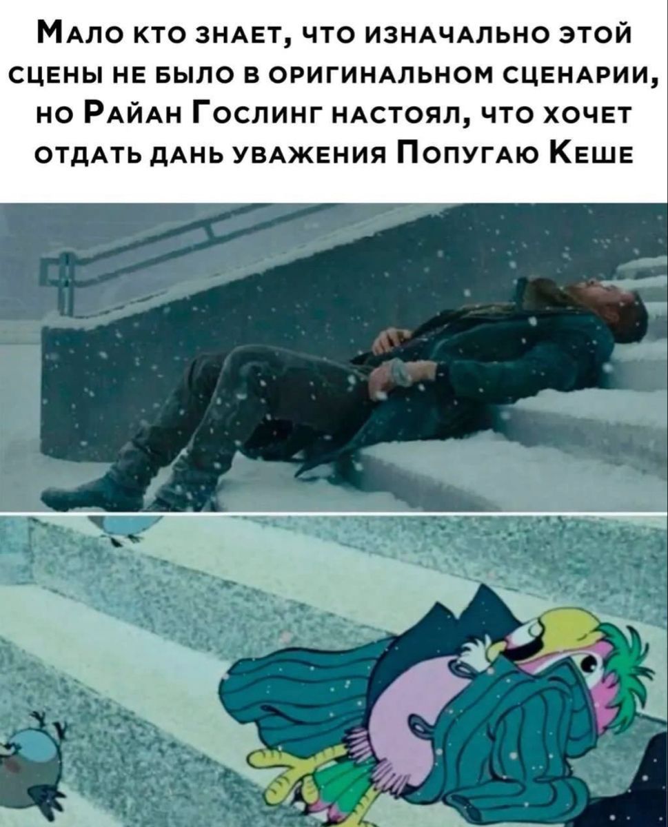 Мало кто знает, что изначально этой сцены не было в оригинальном сценарии, но Райан Гослинг настоял, что хочет отдать дань уважения Попугаю Кеше