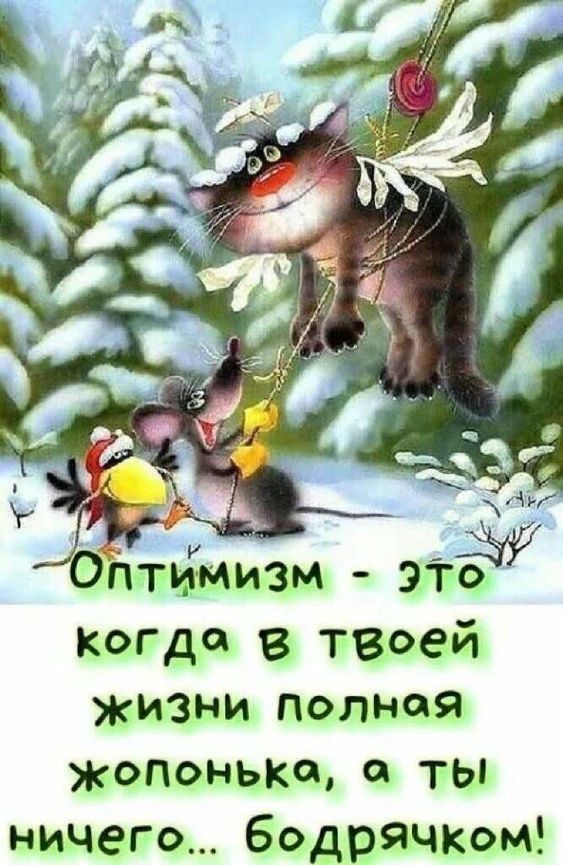 Оптимизм - это когда в твоей жизни полная жопонька, а ты ничего... бодрячком!
