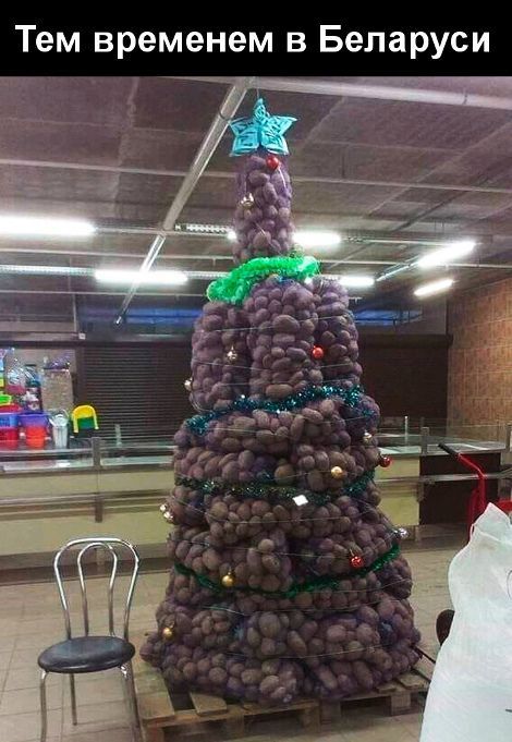 Тем временем в Беларуси