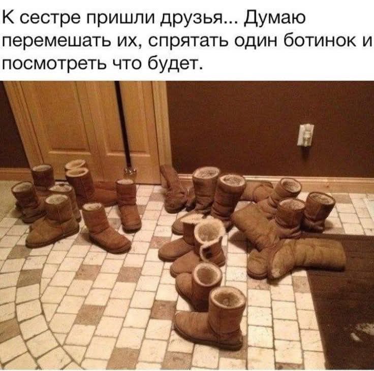 К сестре пришли друзья... Думаю перемешать их, спрятать один ботинок и посмотреть что будет.