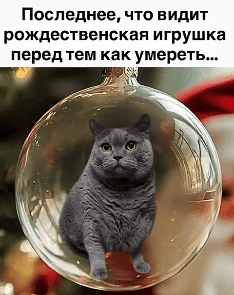 Последнее, что видит рождественская игрушка перед тем как умереть...