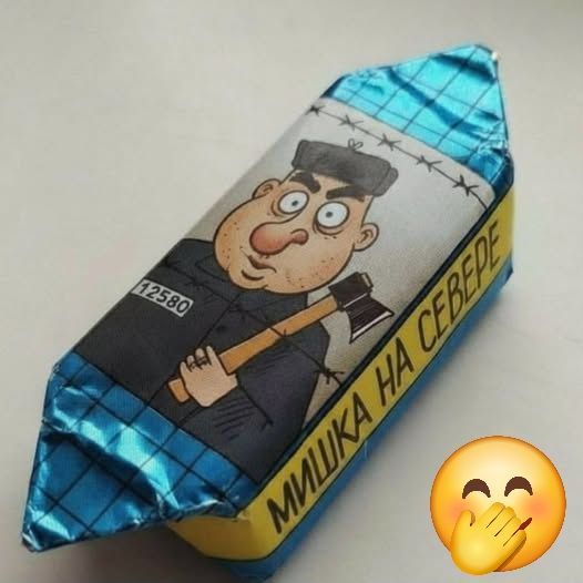 МИШКА НА СЕВЕРЕ