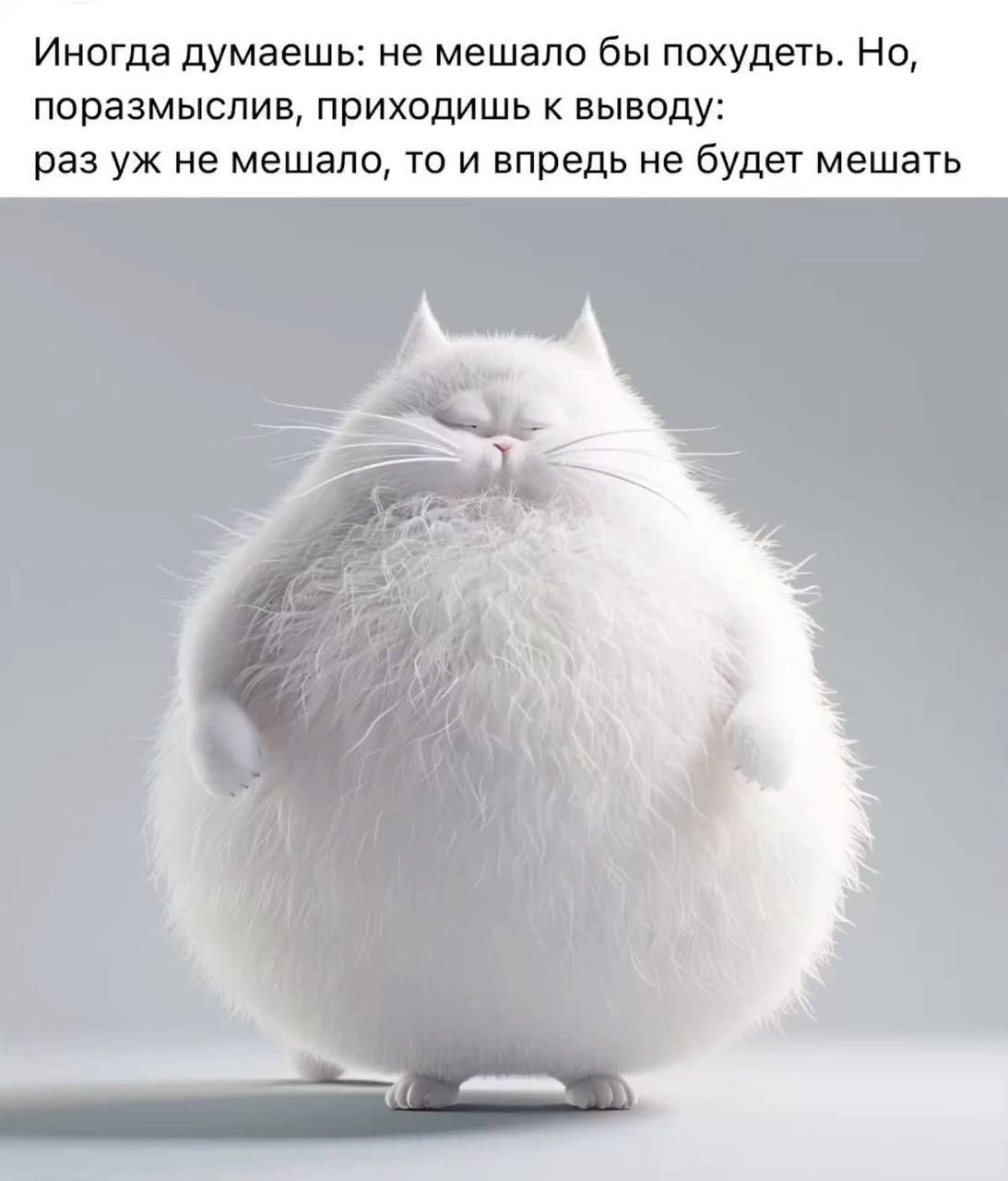 Иногда думаешь: не мешало бы похудеть. Но, поразмыслив, приходишь к выводу: раз уж не мешало бы похудеть, то и вперед не будет мешать