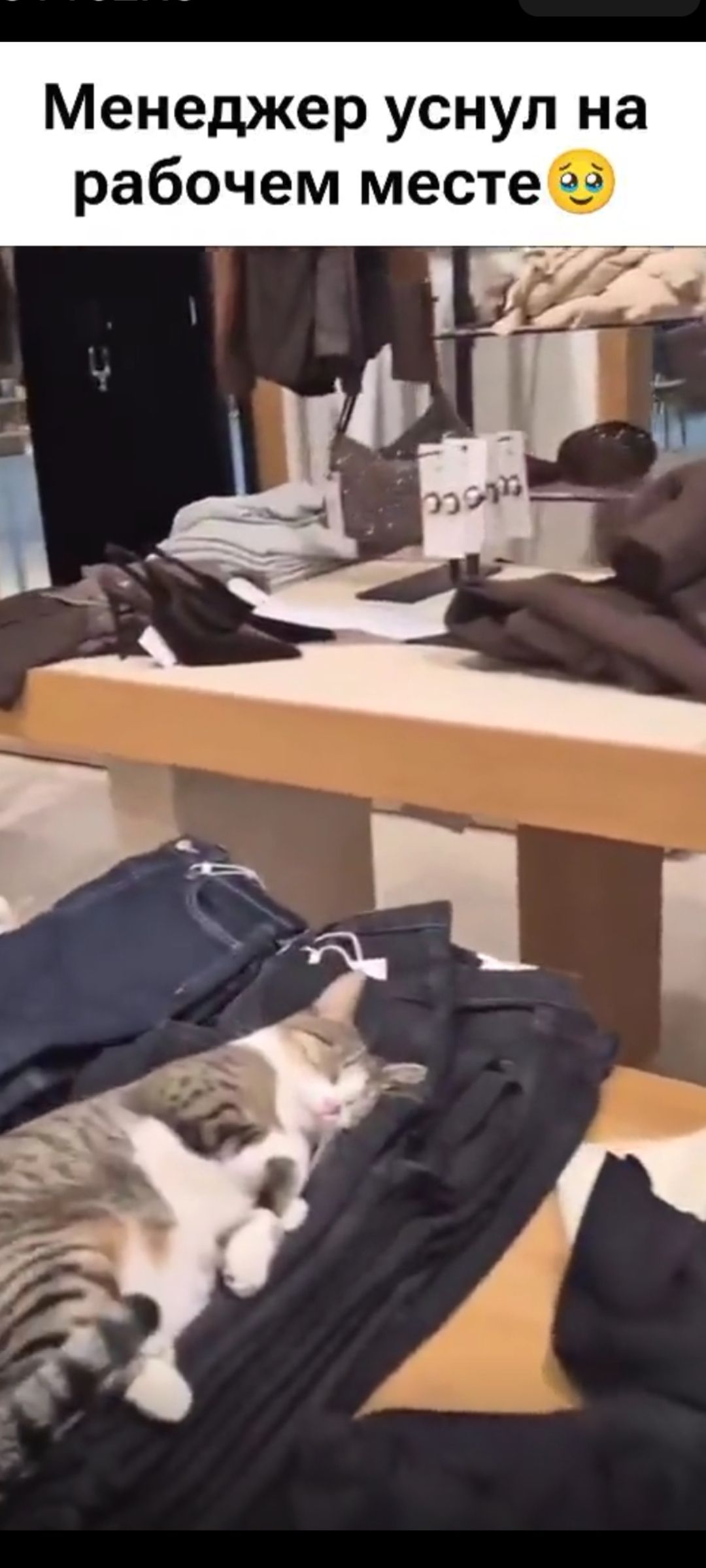 Менеджер уснул на рабочем месте 😢