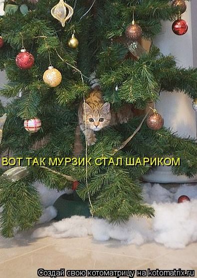 ВОТ ТАК МУРЗИК СТАЛ ШАРИКОМ
Создай свою котоматрицу на kotomatrix.ru