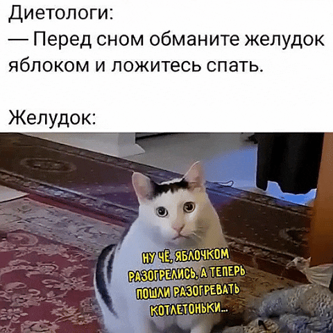 Диетологи: — Перед сном обманите желудок яблоком и ложитесь спать. Желудок: ну чё, яблочком разогрелись, а теперь пошли разогревать котлетоньки...