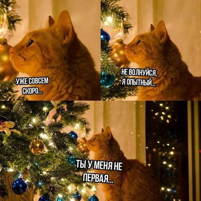 УЖЕ СОВСЕМ СКОРО...
НЕ ВОЛНУЙСЯ, Я ОПЫТНЫЙ...
ТЫ У МЕНЯ НЕ ПЕРВАЯ...