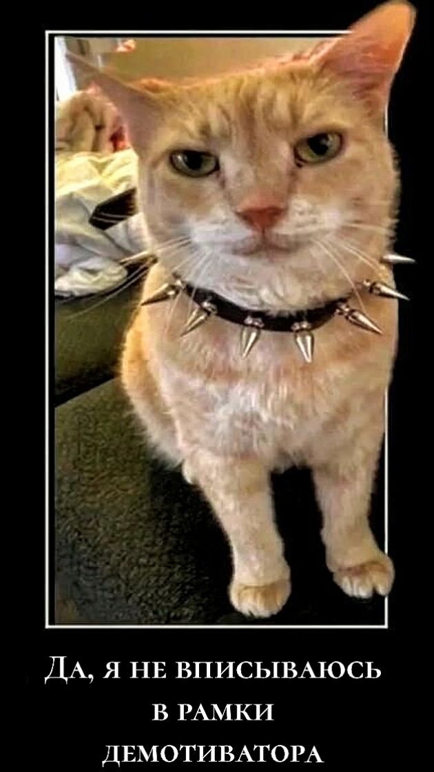 Да, я не вписываюсь в рамки демотиватора