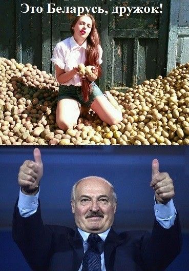 Это Беларусь, дружок!