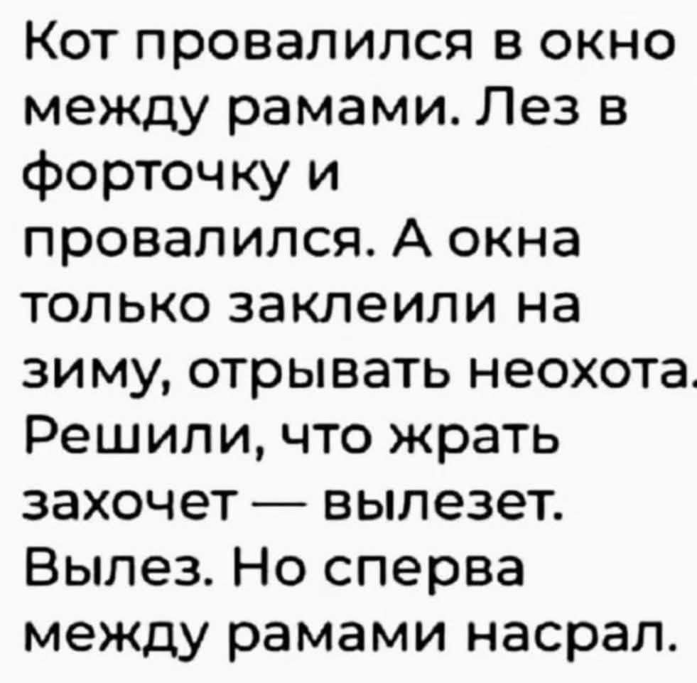 Кот провалился в окно между рамами. Лез в форточку и провалился. А окна только заклеили на зиму, отрывать неохота. Решили, что жрать захочет — выйдет. Вылез. Но сперва между рамами насрал.