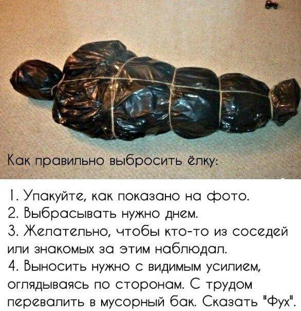 Как правильно выбросить ёлку:
1. Упакуйте, как показано на фото.
2. Выбрасывать нужно днем.
3. Желателно, чтобы кто-то из соседей или знакомых за этим наблюдал.
4. Выносить нужно с видимым усилием, оглядываясь по сторонам. С трудом перевалить в мусорный бак. Сказать 