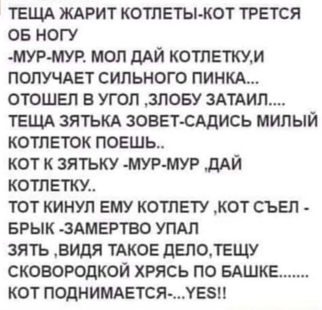 ТЕЩА ЖАРИТ КОТЛЕТЫ-КОТ ТРЕТСЯ ОБ НОГУ
-МУР-МУР. МОЛ ДАЙ КОТЛЕТКУ, И ПОЛУЧАЕТ СИЛЬНОГО ПИНКА....
ОТОШЕЛ В УГОЛ, ЗЛОБУ ЗАТАЙЛ... 
ТЕЩА ЗЯТЬКА ЗОВЕТ-САДИСЬ МИЛЫЙ КОТЛЕТОК ПОЕШЬ..
КОТ К ЗЯТЬКУ - МУР-МУР, ДАЙ КОТЛЕТКУ..
ТОТ КИНУЛ ЕМУ КОТЛЕТУ, КОТ СЪЕЛ - БРЫК - ЗАМЕРТВО УПАЛ
ЗЯТЬ, ВИДЯ ТАКОЕ ДЕЛО, ТЕЩУ СКОВОРОДКОЙ ХРЯСЬ ПО БАШКЕ........
КОТ ПОДНИМАЕТСЯ..