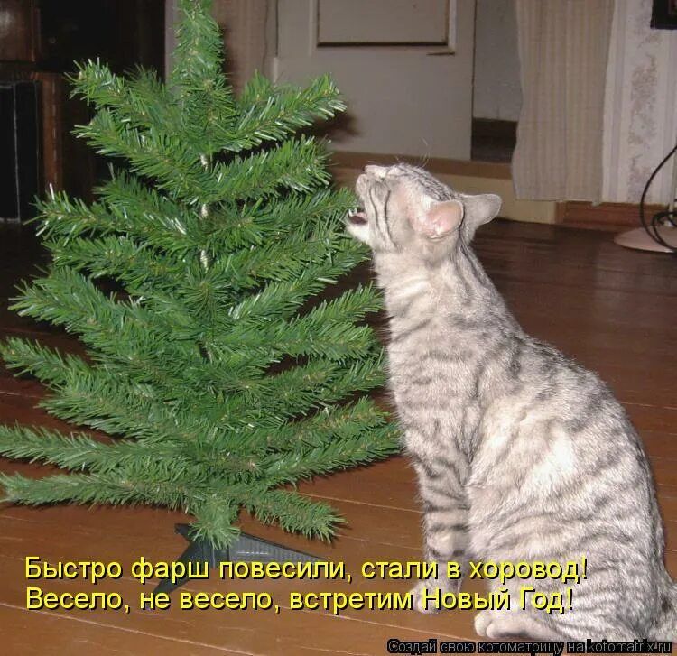 Быстро фарш повесили, стали в хоровод! Весело, не весело, встретим Новый Год!