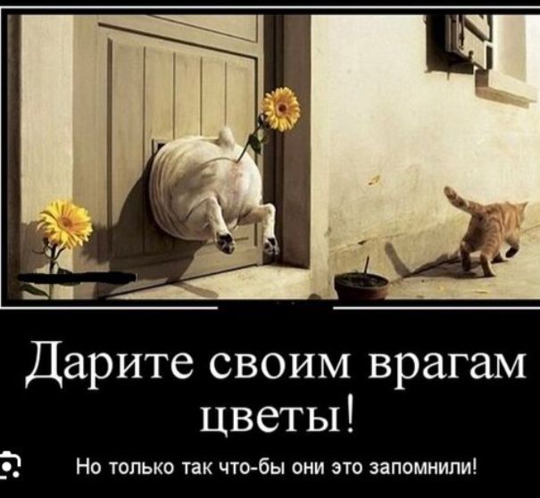 Дарите своим врагам цветы! Но только так что-бы они это запомнили!