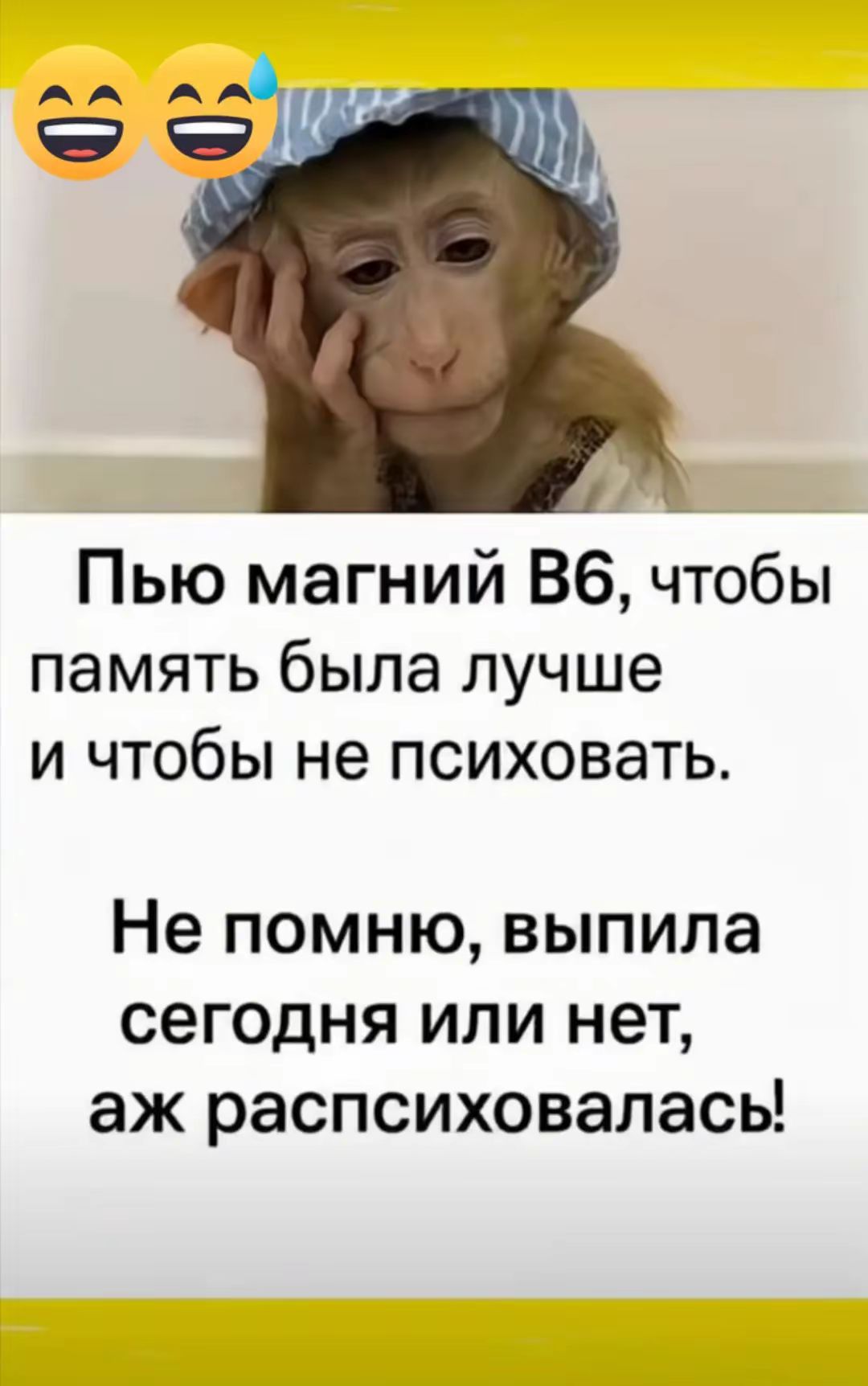 Пью магний B6, чтобы память была лучше и чтобы не психовать.
Не помню, выпила сегодня или нет, ах распсиховалась!