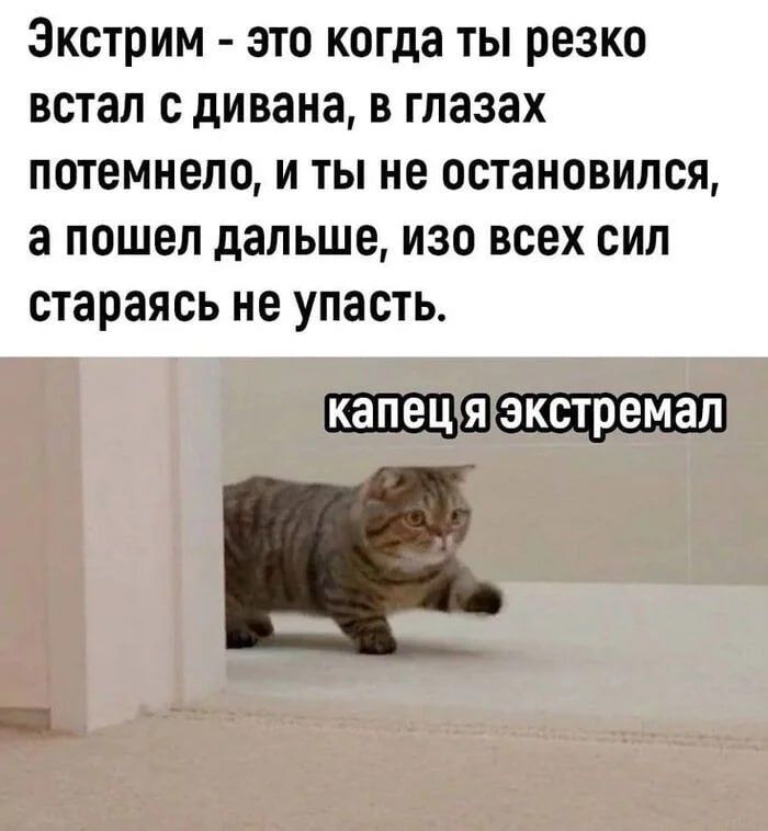 Экстрим - это когда ты резко встал с дивана, в глазах потемнело, и ты не остановился, а пошел дальше, изо всех сил стараясь не упасть. капец я экстремал