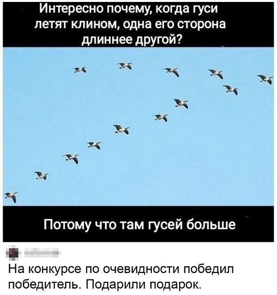 Интересно почему, когда гуси летят клином, одна его сторона длиннее другой? Потому что там гусей больше На конкурс по очевидности победил победитель. Подарили подарок.