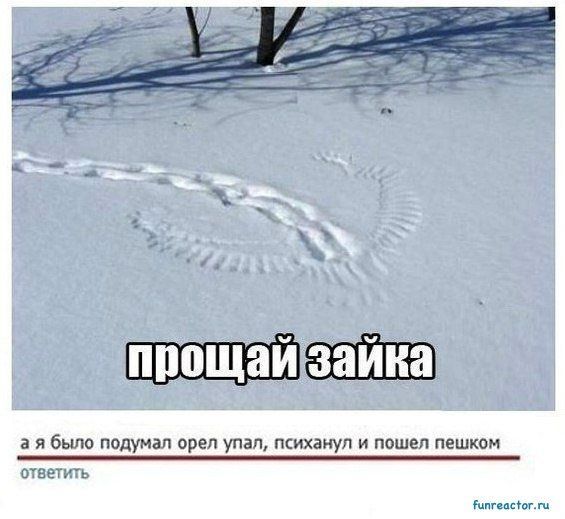 прощай зайка
а я вдруг подумал орёл упал, психанул и пошёл пешком