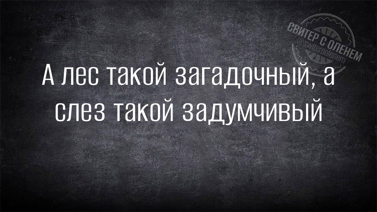 А лес такой загадочный, а слез такой задумчивый