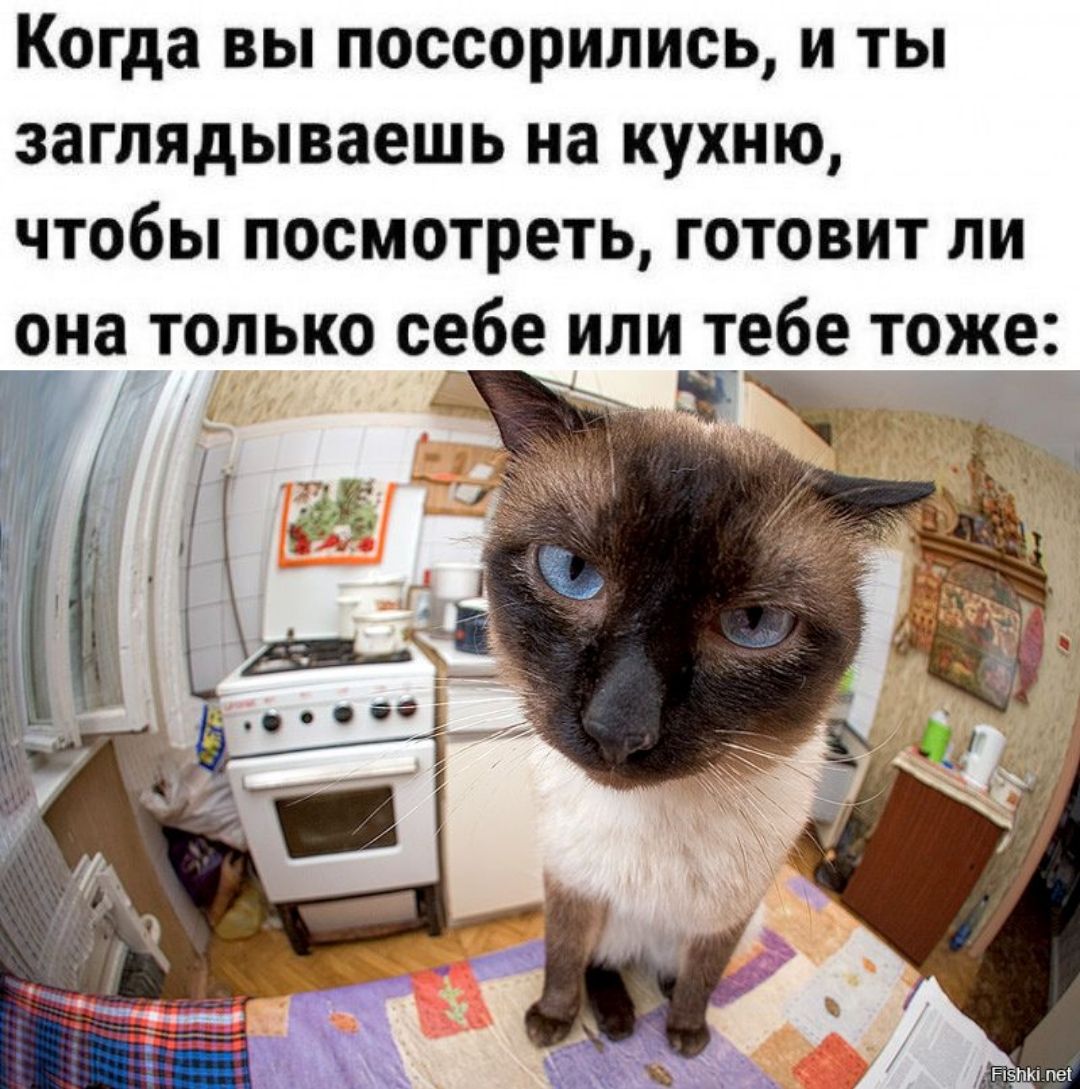 Когда вы поссорились, и ты заглядываешь на кухню, чтобы посмотреть, готовит ли она только себе или тебе тоже: