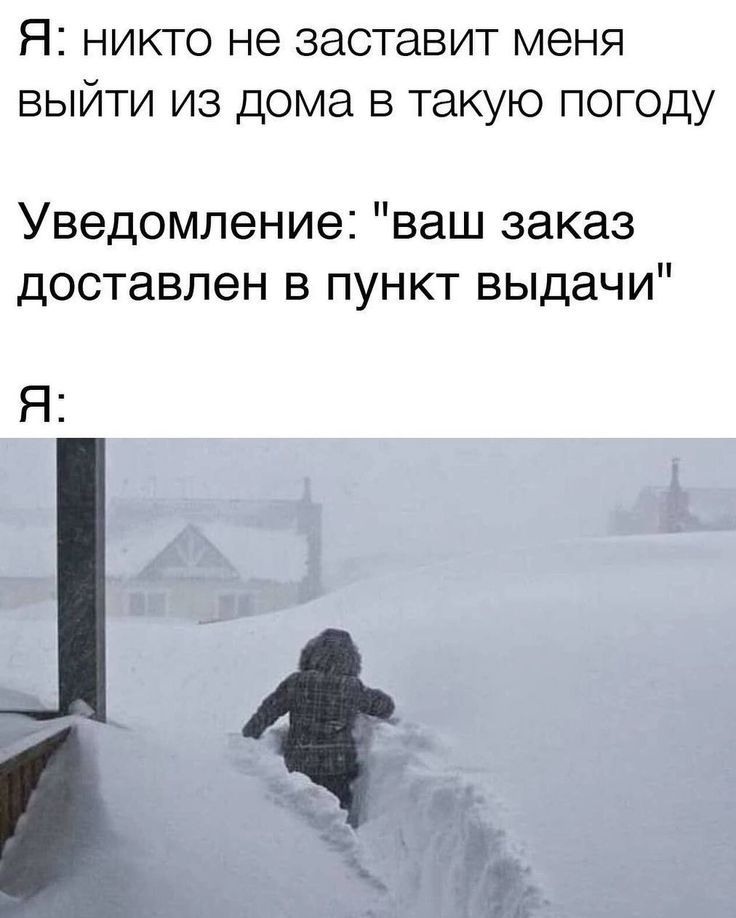Я: никто не заставит меня выйти из дома в такую погоду
Уведомление: 