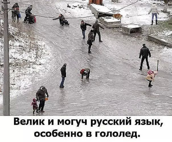 Велик и могуч русский язык, особенно в голодел.