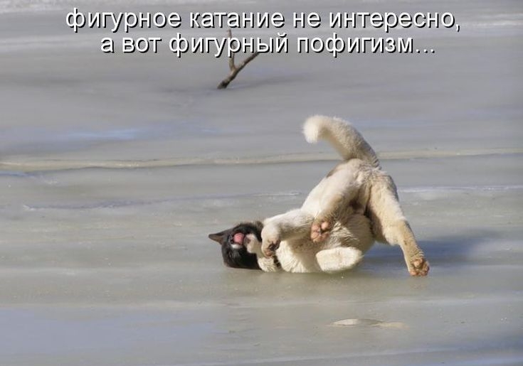 фигурное катание не интересно, а вот фигурный пофигизм...