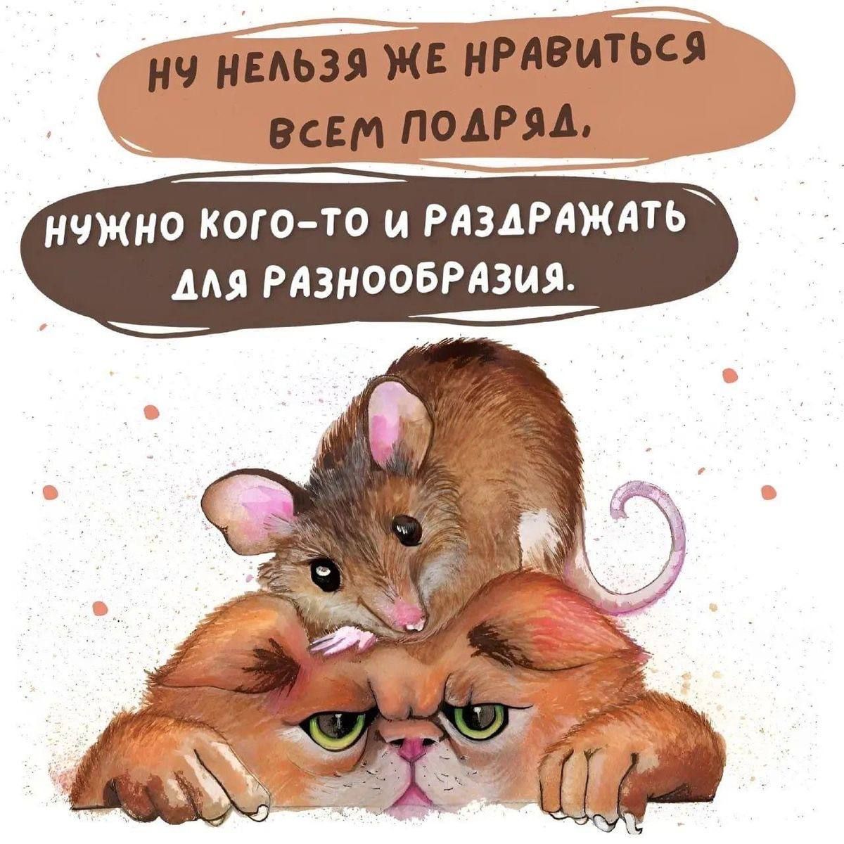 Ну нельзя же нравиться всем подряд. Нужно кого-то и раздражать для разнообразия.