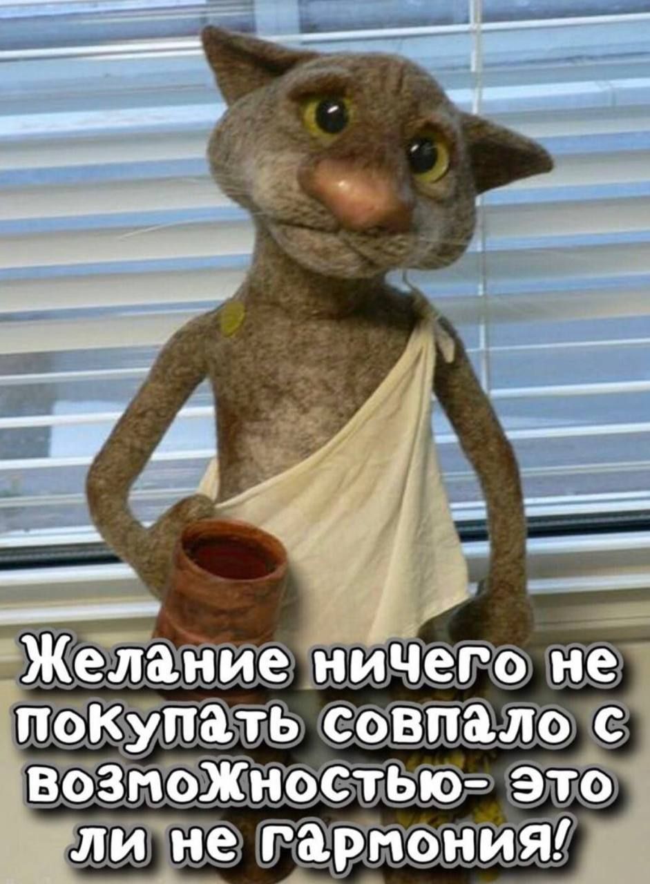 Желание ничего не покупать совпало с возможностью- это ли не гармония!