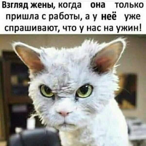 Взгляд жены, когда она только пришла с работы, а у неё уже спрашивают, что у нас на ужин!