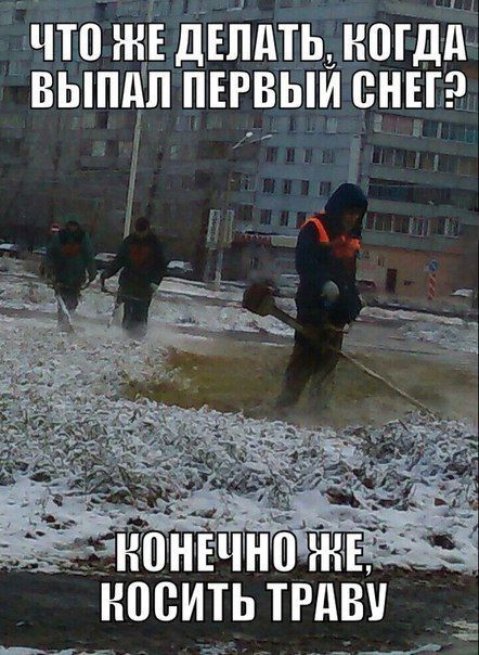 ЧТО ЖЕ ДЕЛАТЬ, КОГДА ВЫПАЛ ПЕРВЫЙ СНЕГ?
КОНЕЧНО ЖЕ, КОСИТЬ ТРАВУ