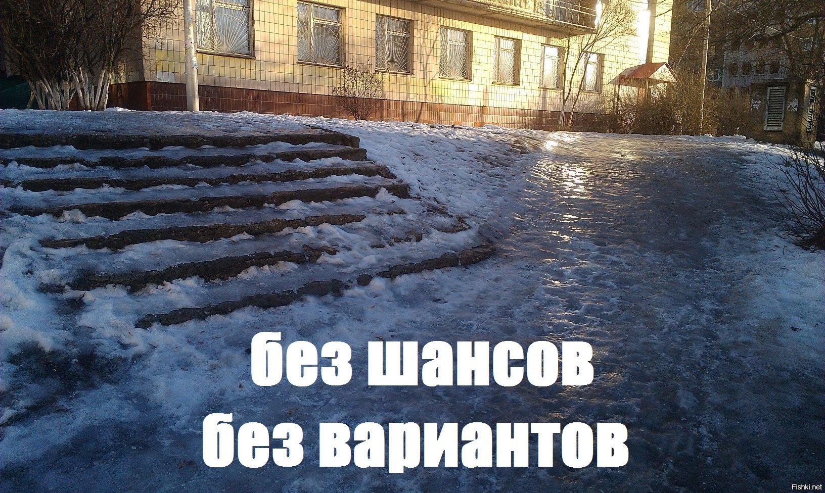 без шансов без вариантов