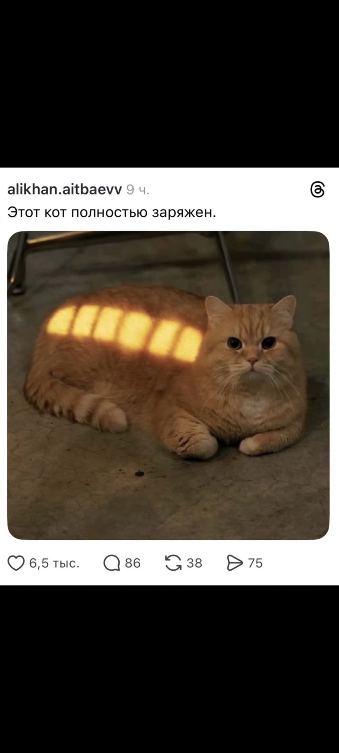 alikhan.aitbaevv. Этот кот полностью заряжен.