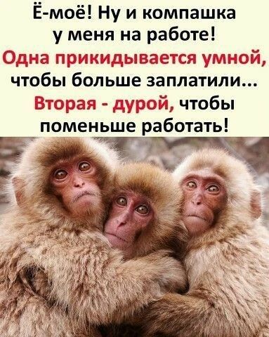 Ё-моё! Ну и компашка у меня на работе! Одна прикaдывается умной, чтобы больше заплатили... Вторая - дурай, чтобы поменьше работать!