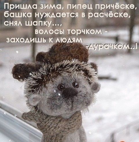 Пришла зима, липец причёска, башка нуждается в расчёске, сняла шапку... волосы торчком - заходишь к людям.