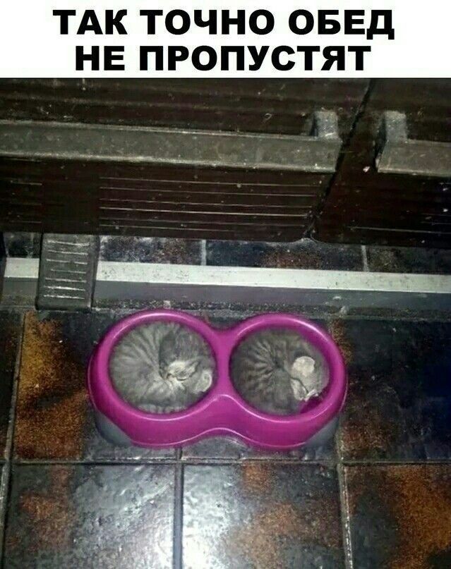 ТАК ТОЧНО ОБЕД НЕ ПРОПУСТЯТ