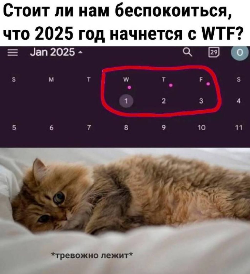 Стоит ли нам беспокоиться, что 2025 год начнется с WTF?\nJan 2025\n[ circled days W T F with numbers 1 2 3 ]\n*тревожно лежит*