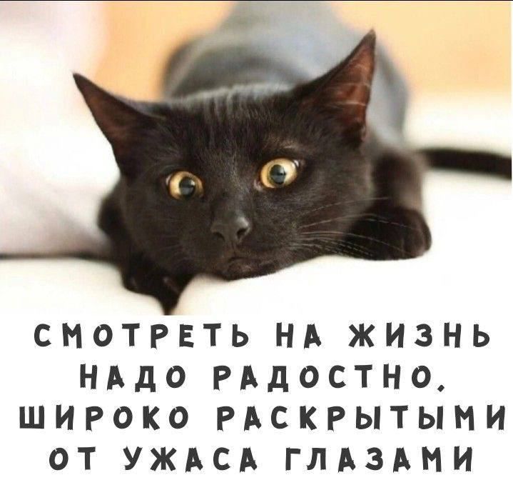 СМОТРЕТЬ НА ЖИЗНЬ НАДО РАДОСТНО, ШИРОКО ОТКРЫТЫМИ ОТ УЖАСА ГЛАЗАМИ