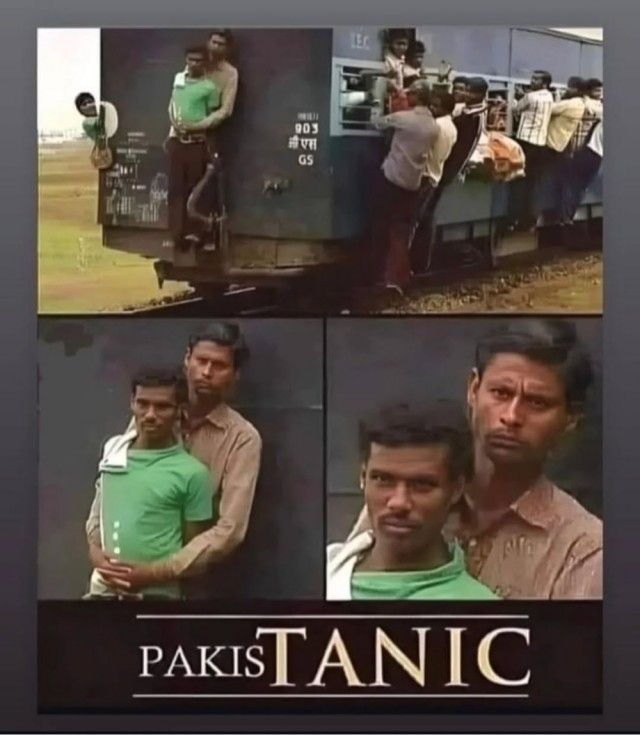 PAKIS TANIC