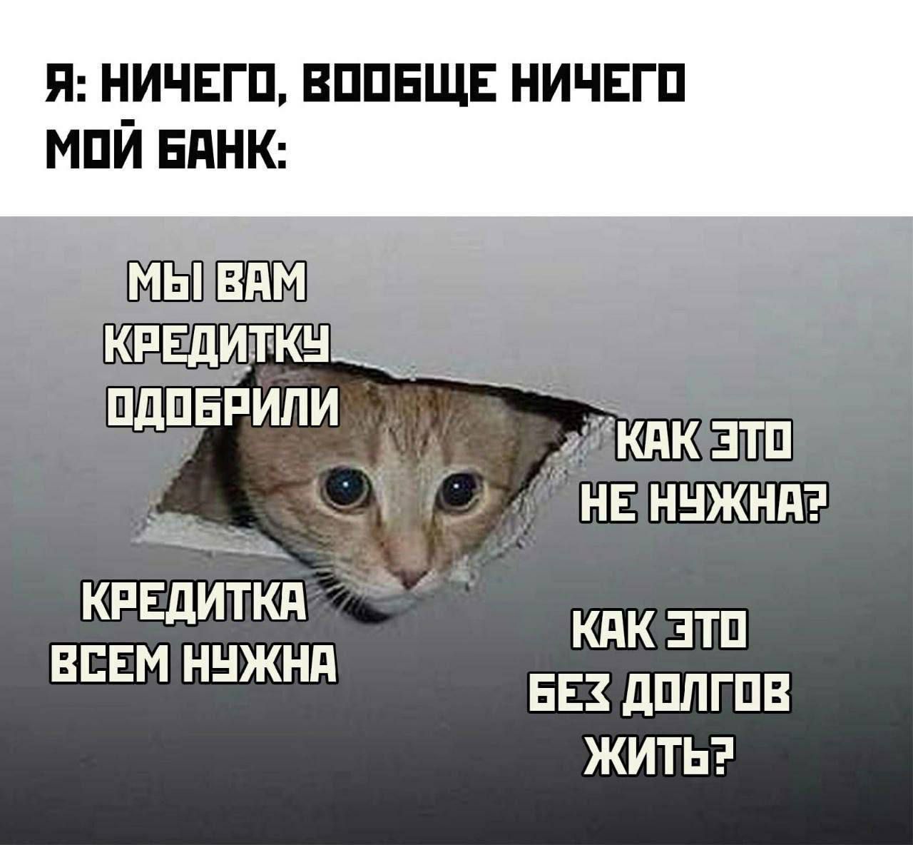 Я: НИЧЕГО, ВООБЩЕ НИЧЕГО МОЙ БАНК: МЫ ВАМ КРЕДИТКУ ОДОБРИЛИ КАК ЭТО НЕ НУЖНА? КРЕДИТКА ВСЕМ НУЖНА КАК ЭТО БЕЗ ДОЛГОВ ЖИТЬ?