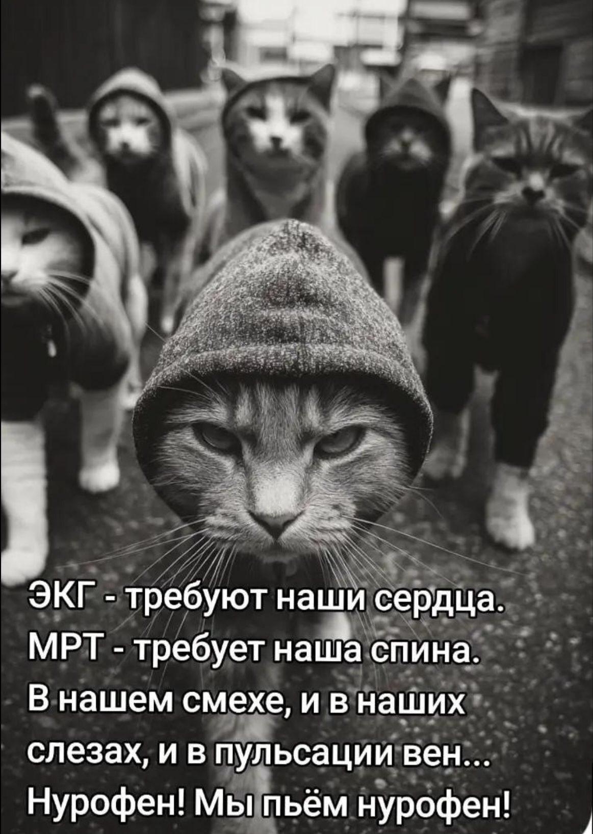 ЭКГ - требуют наши сердца.
МРТ - требует наша спина.
В нашем смехе, и в наших слезах, и в пульсации вен...
Нурофен! Мы пьём нурофен!