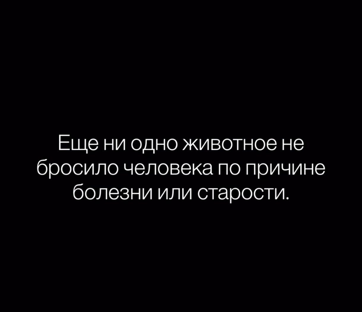 Еще ни одно животное не бросило человека по причине болезни или старости.