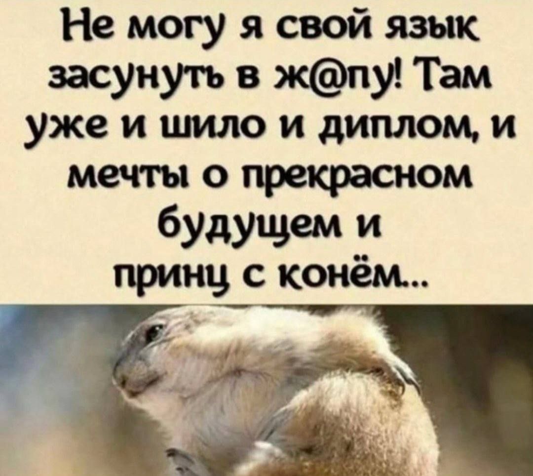 Не могу я свой язык засунуть в ж@пу! Там уже и шило и диплом, и мечты о прекрасном будущем и принц с конём...